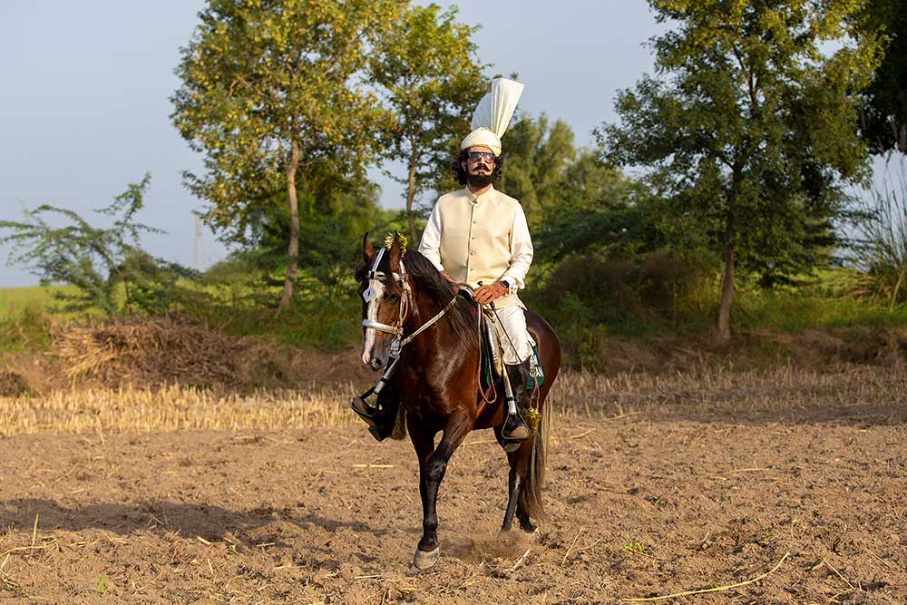 Equestrian Tent Pegging